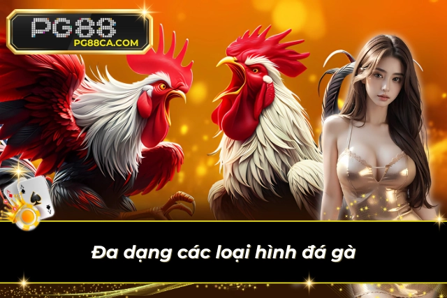Vô vàn các thể loại đấu gà