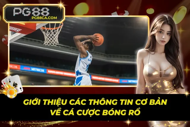 Những thông tin trọng điểm cho Newbie về cá cược bóng rổ