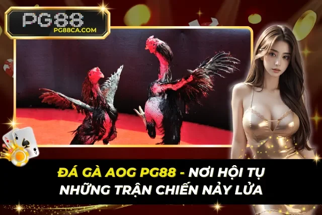 Đá Gà AOG PG88