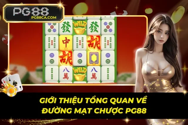 Khám phá đường mạt chược - Sự giao thoa giữa truyền thống và hiện đại