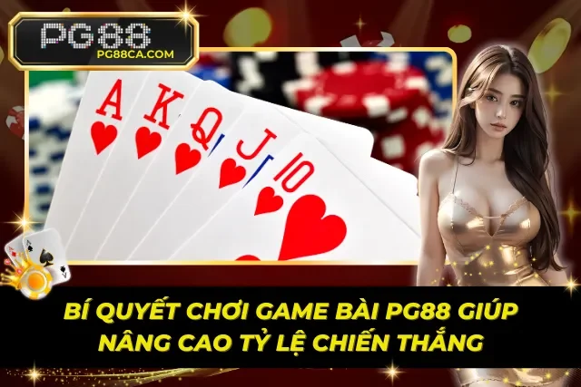 Chiến lược chơi game bài hiệu quả cho người mới và lâu năm