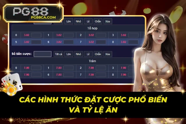 Các hình thức cược phổ biến