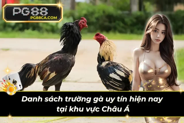 Điểm danh những cái tên đình đám trong làng đá gà trực tuyến