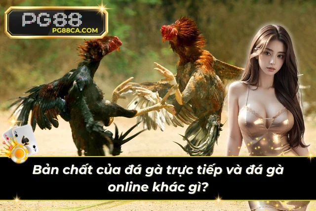 Phân tích đặc điểm nhận dạng mấu chốt của hai hình thức