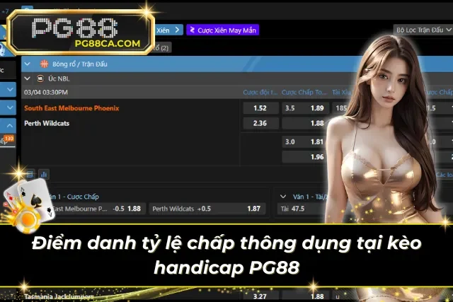 Các tỷ lệ chấp thông dụng tại kèo Châu Á