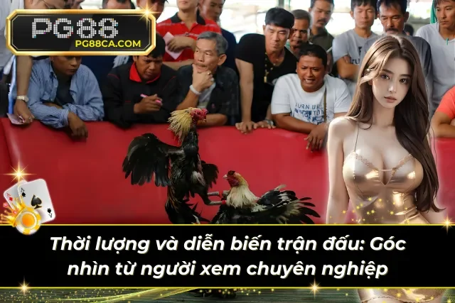 Lời nhận xét của người xem đá gà cựa dao và cựa sắt chuyên nghiệp